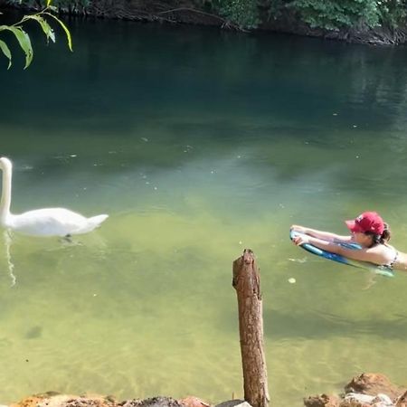Gite De Vacances Jardin Monet Giverny Vernon Sainte-Genevieve-les-Gasny Bagian luar foto